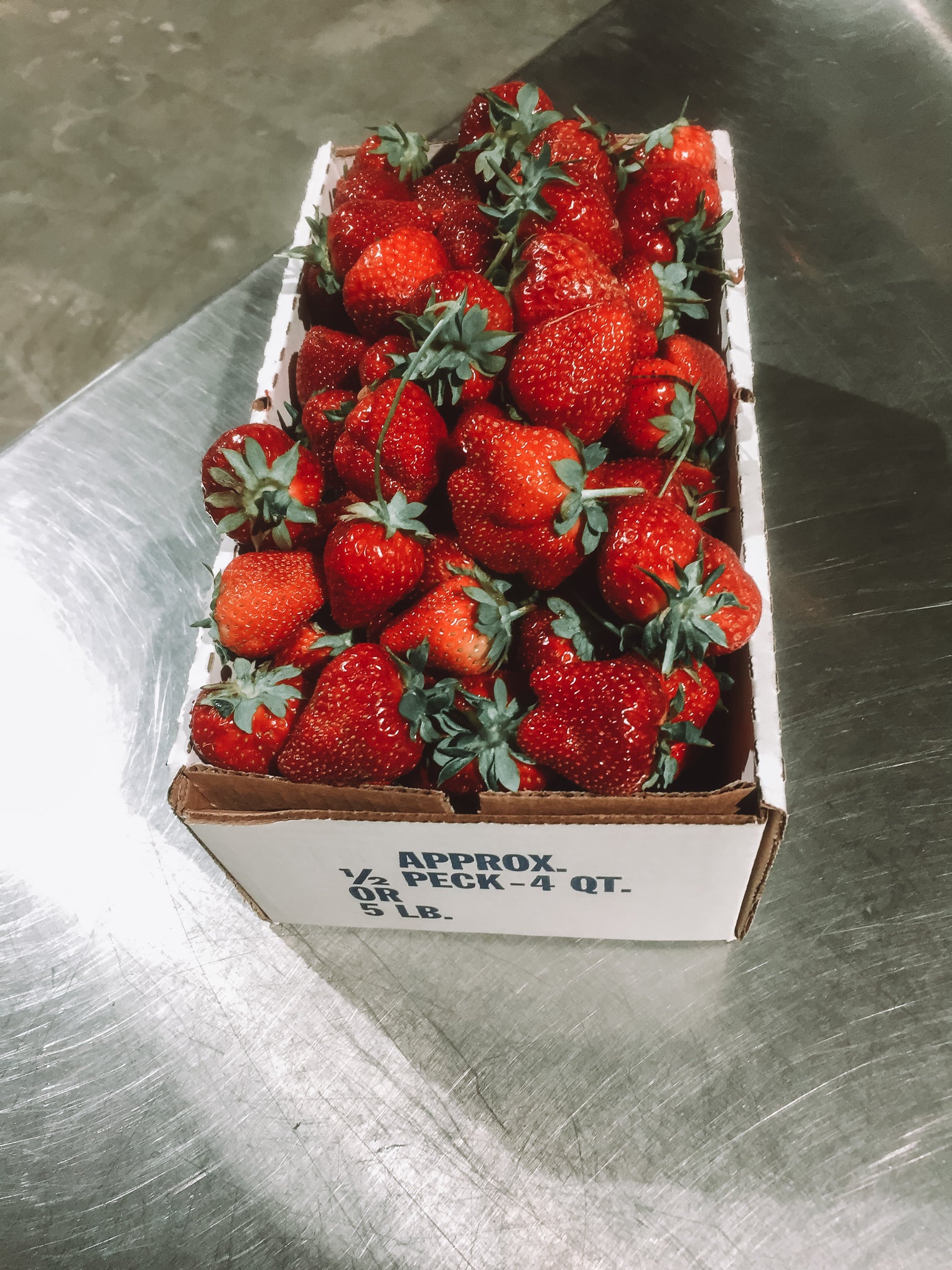 Prepicked Strawberries - 5lb | Lazy Creek Farms
